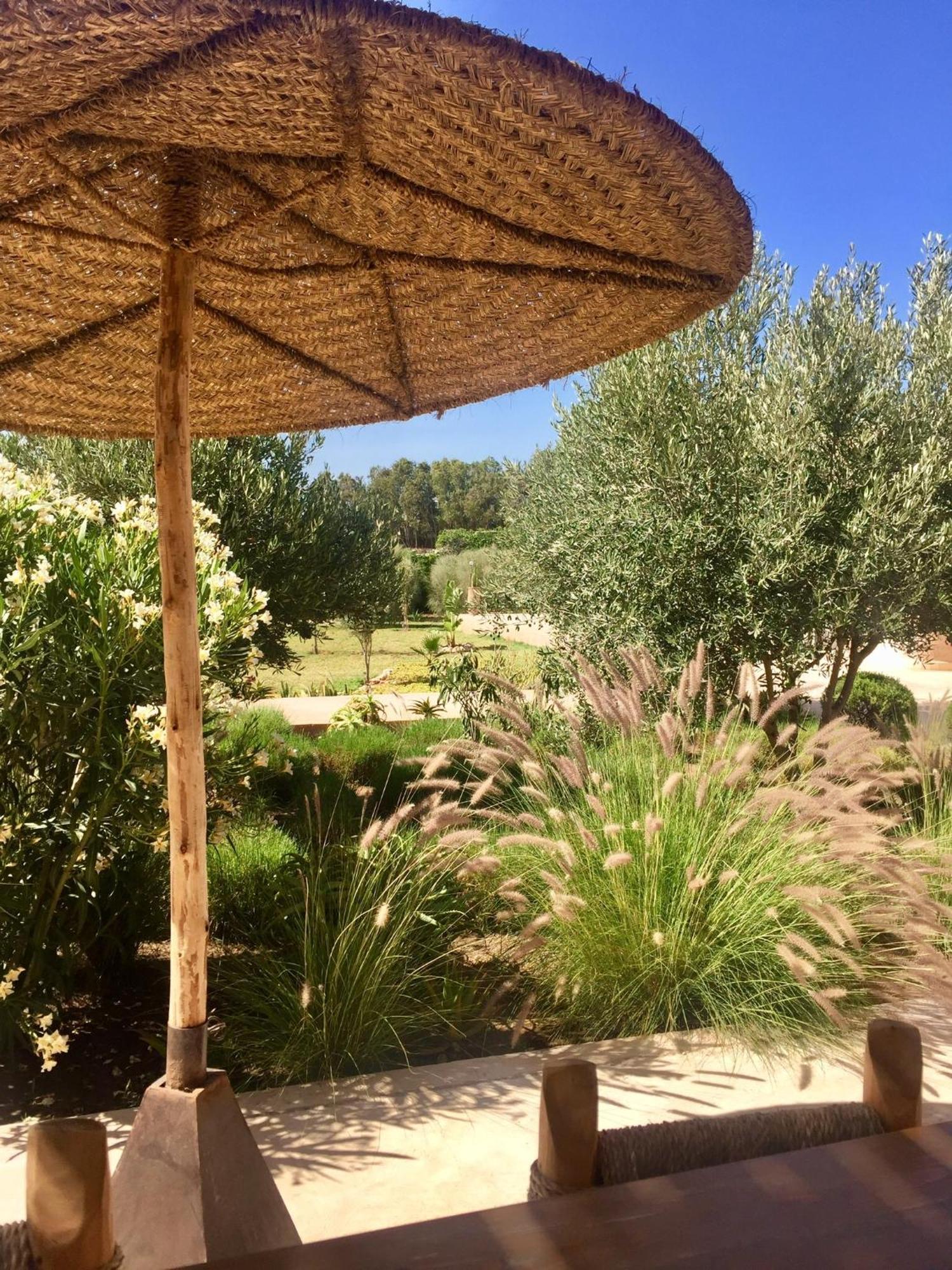 Dar Alya Essaouira Maison Et Table D'Hotes Al Ghar Eksteriør billede