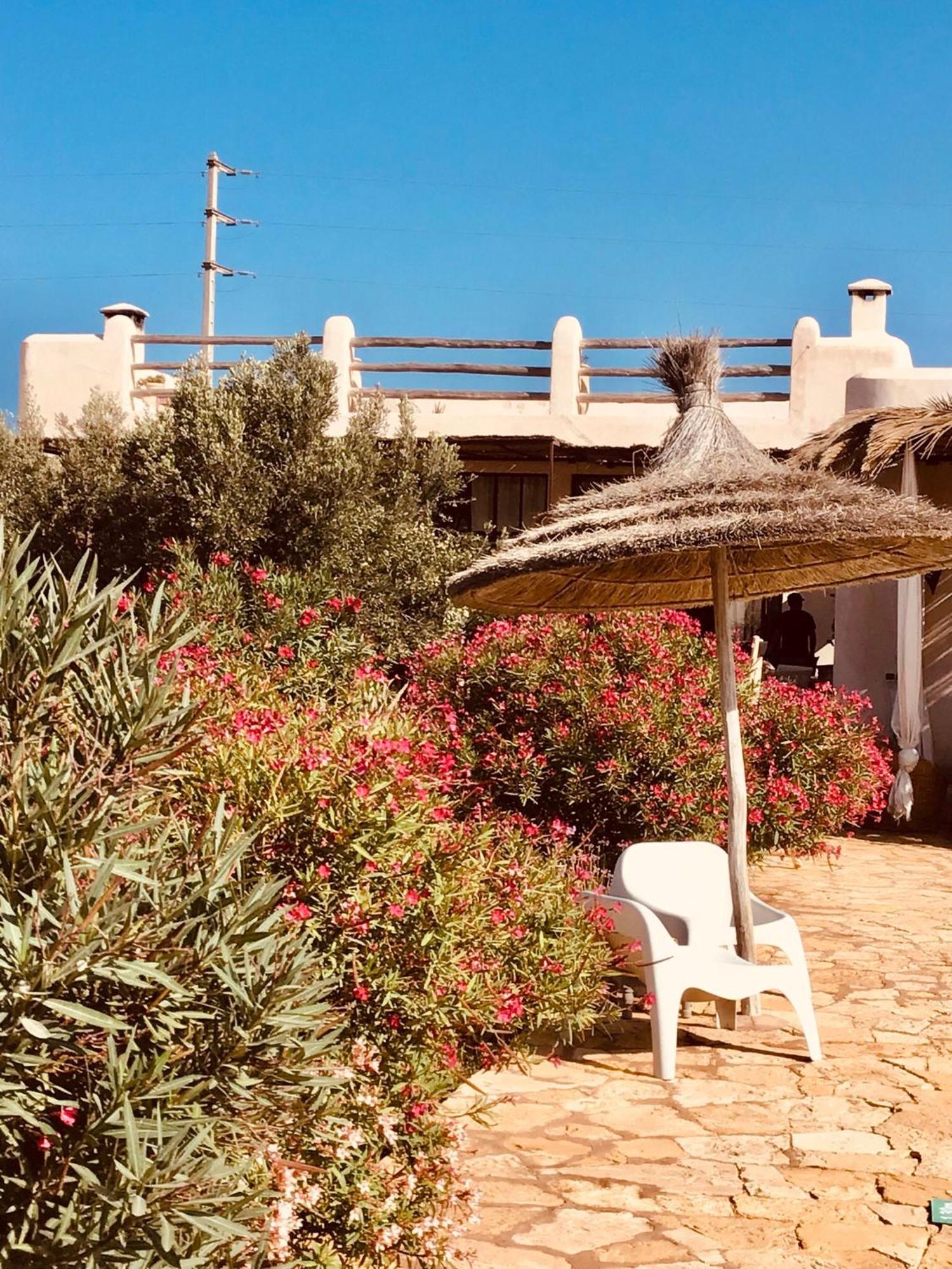 Dar Alya Essaouira Maison Et Table D'Hotes Al Ghar Eksteriør billede