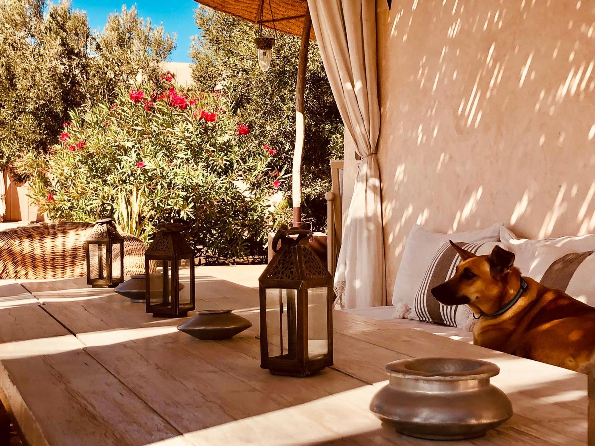 Dar Alya Essaouira Maison Et Table D'Hotes Al Ghar Eksteriør billede