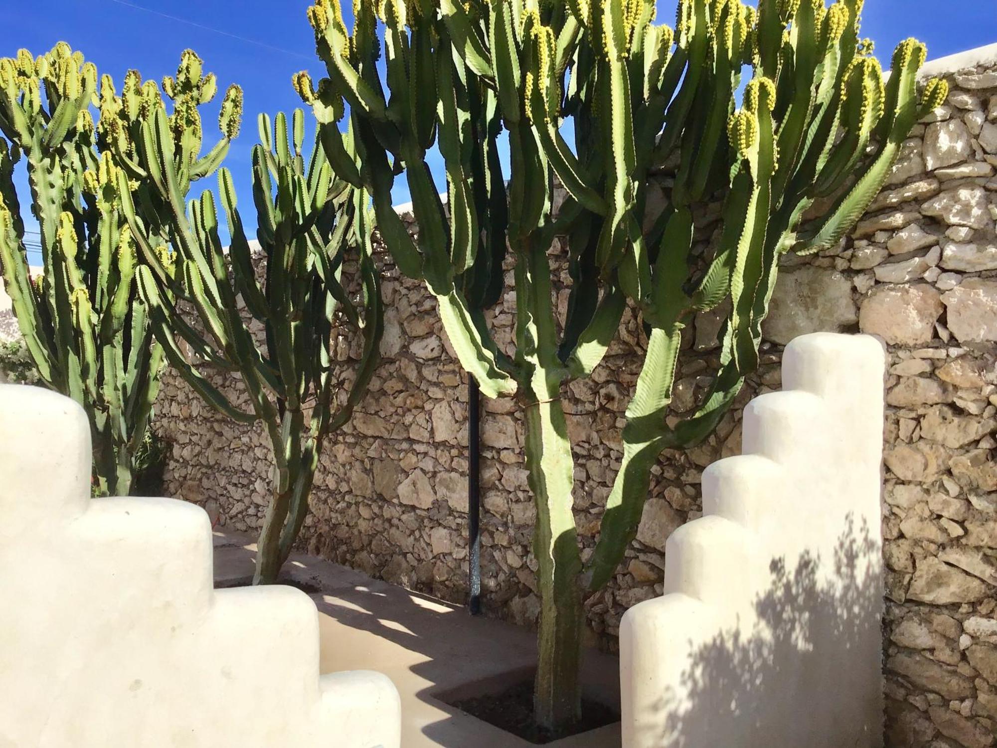 Dar Alya Essaouira Maison Et Table D'Hotes Al Ghar Eksteriør billede