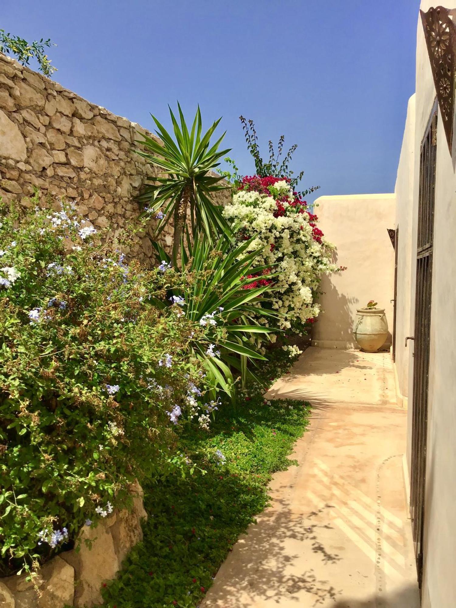 Dar Alya Essaouira Maison Et Table D'Hotes Al Ghar Eksteriør billede
